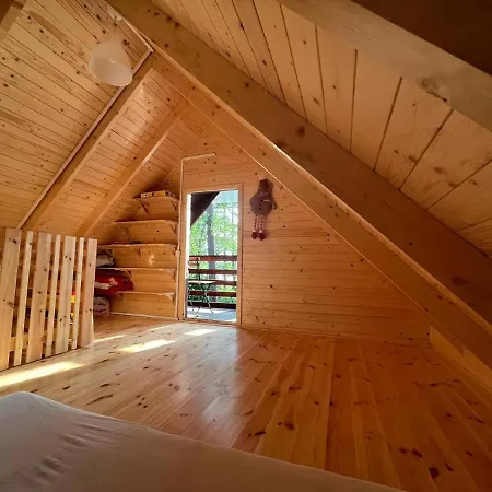 Letniskowy Nad Jeziorem, Las, Mazury *