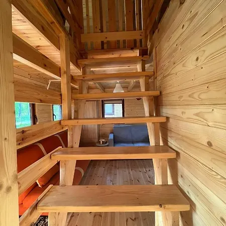 Letniskowy Nad Jeziorem, Las, Mazury