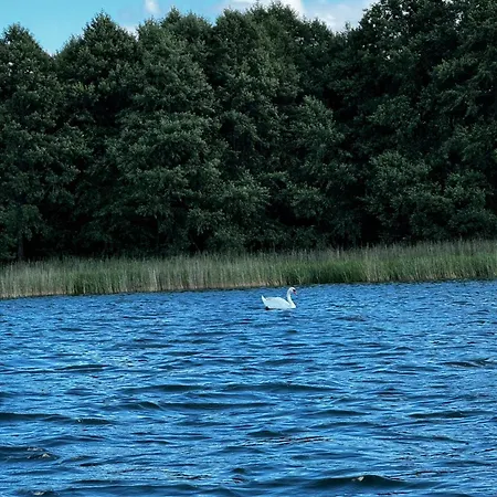 度假居 Letniskowy Nad Jeziorem, Las, Mazury Wiartel Maly