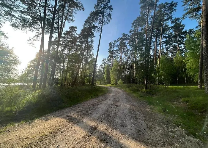 Dom wakacyjny Letniskowy Nad Jeziorem, Las, Mazury