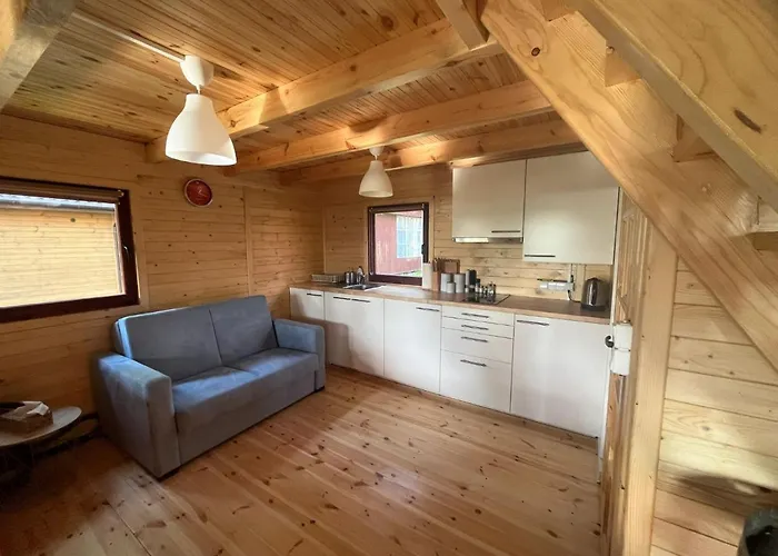 Dom wakacyjny Letniskowy Nad Jeziorem, Las, Mazury