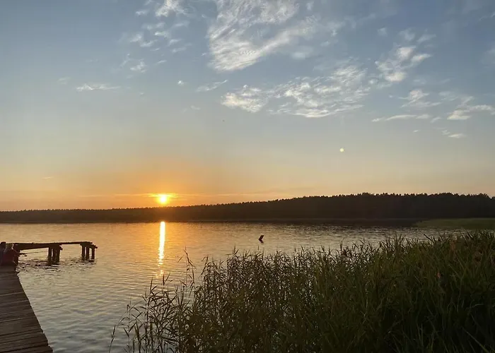 Dom wakacyjny Letniskowy Nad Jeziorem, Las, Mazury