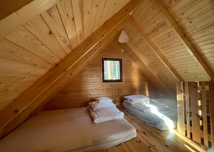 Dom wakacyjny Letniskowy Nad Jeziorem, Las, Mazury Wiartel Maly