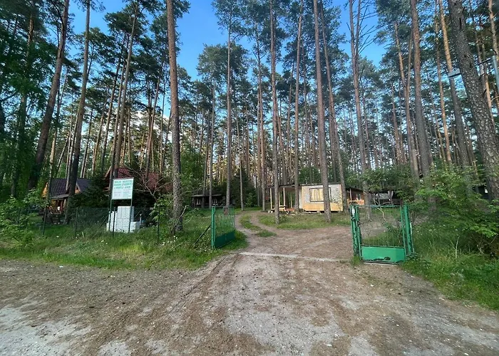 Dom wakacyjny Letniskowy Nad Jeziorem, Las, Mazury