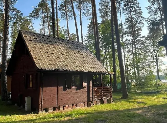 Dom wakacyjny Letniskowy Nad Jeziorem, Las, Mazury