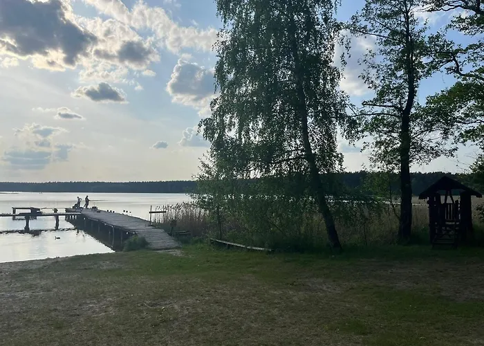 Letniskowy Nad Jeziorem, Las, Mazury *