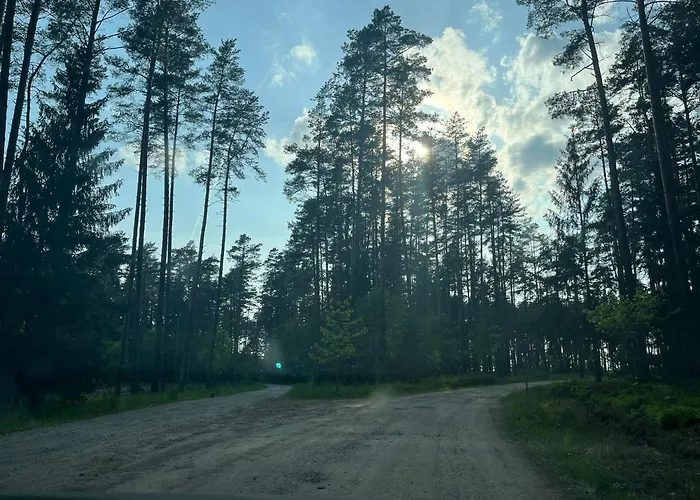 Letniskowy Nad Jeziorem, Las, Mazury Dom wakacyjny *