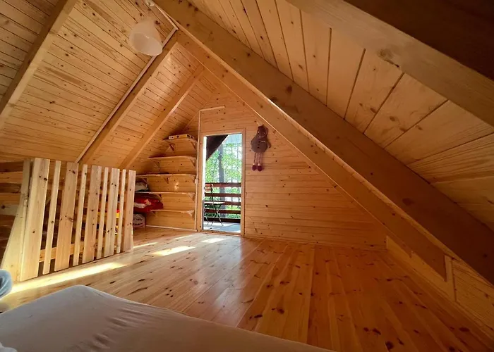 Letniskowy Nad Jeziorem, Las, Mazury *