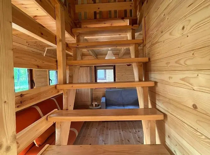 Letniskowy Nad Jeziorem, Las, Mazury