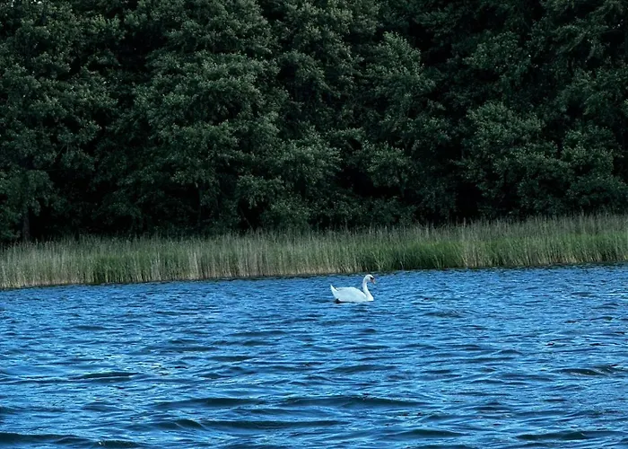 Dom wakacyjny Letniskowy Nad Jeziorem, Las, Mazury Wiartel Maly
