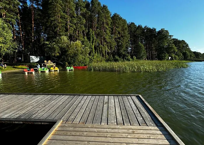 Letniskowy Nad Jeziorem, Las, Mazury Wiartel Maly